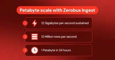 Zerobus: petabyte-schaal voor data-invoer van de Melkweg